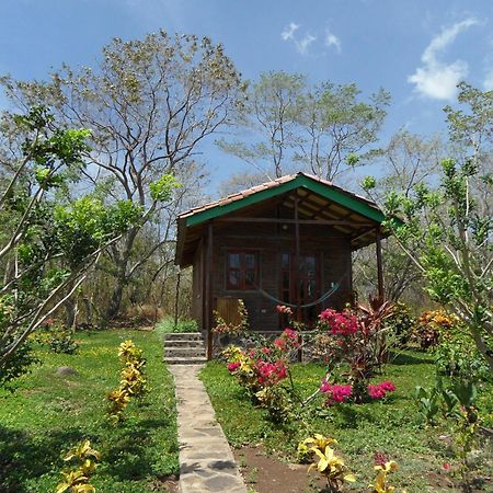 Finca Montana Sagrada Mérida Oda fotoğraf