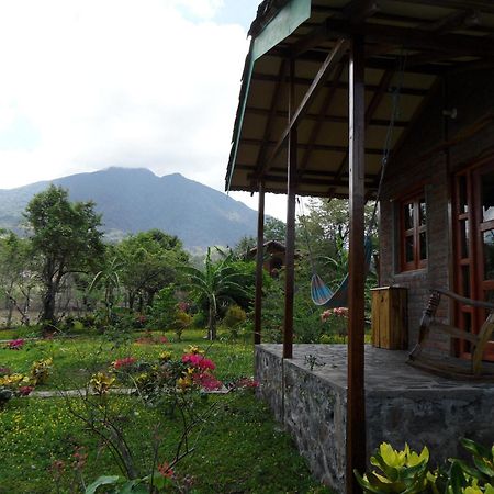 Finca Montana Sagrada Mérida Oda fotoğraf