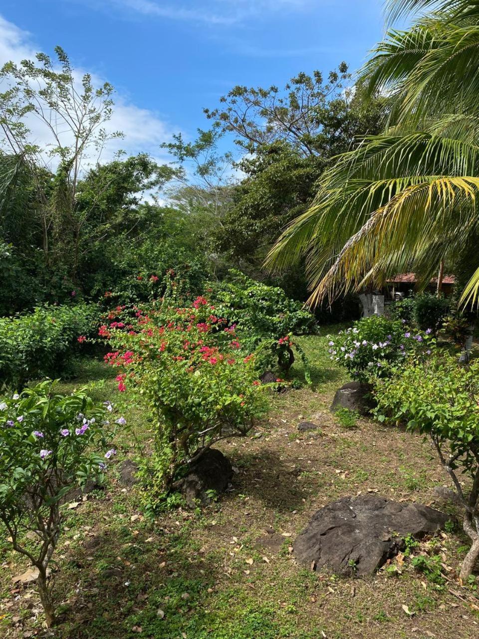 Finca Montana Sagrada Mérida Dış mekan fotoğraf
