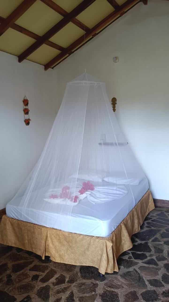 Finca Montana Sagrada Mérida Dış mekan fotoğraf