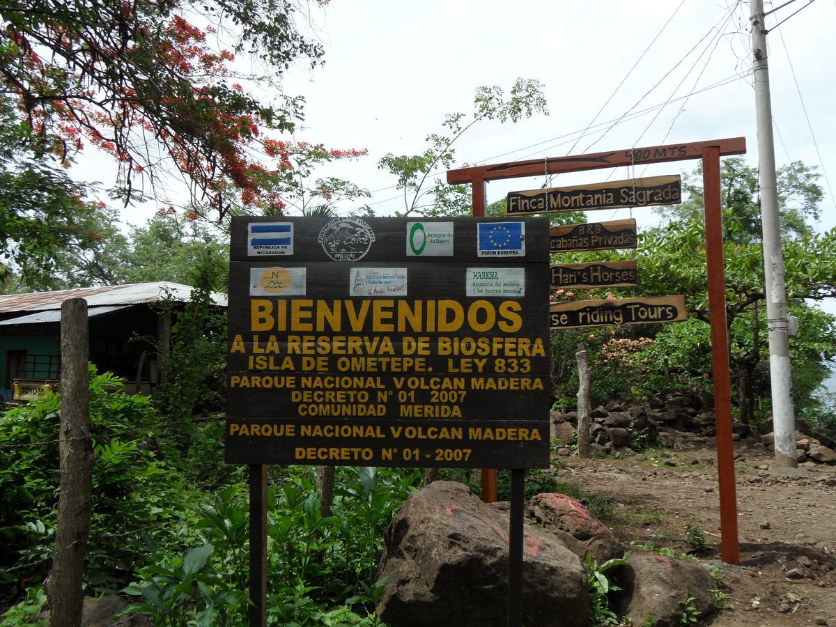 Finca Montana Sagrada Mérida Dış mekan fotoğraf