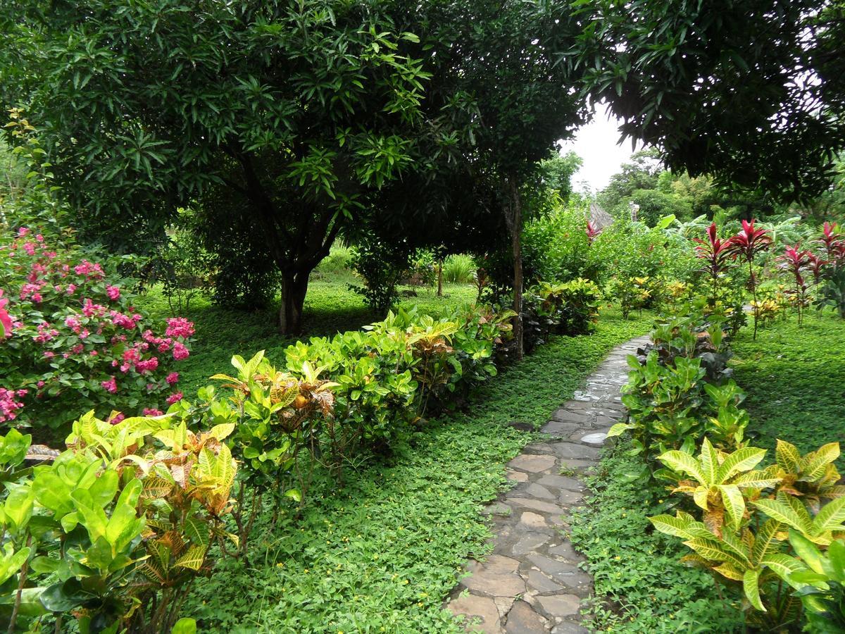 Finca Montana Sagrada Mérida Dış mekan fotoğraf