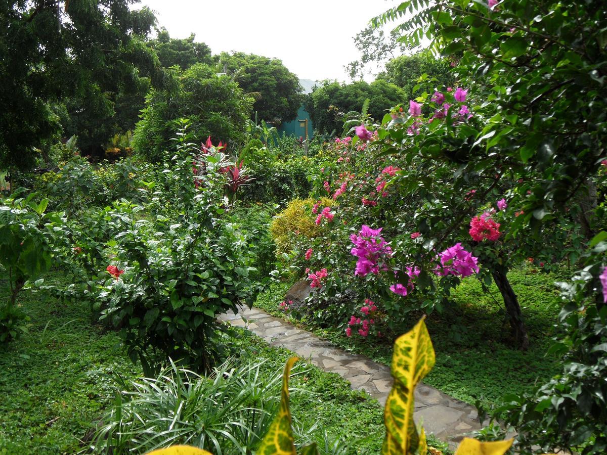 Finca Montana Sagrada Mérida Dış mekan fotoğraf