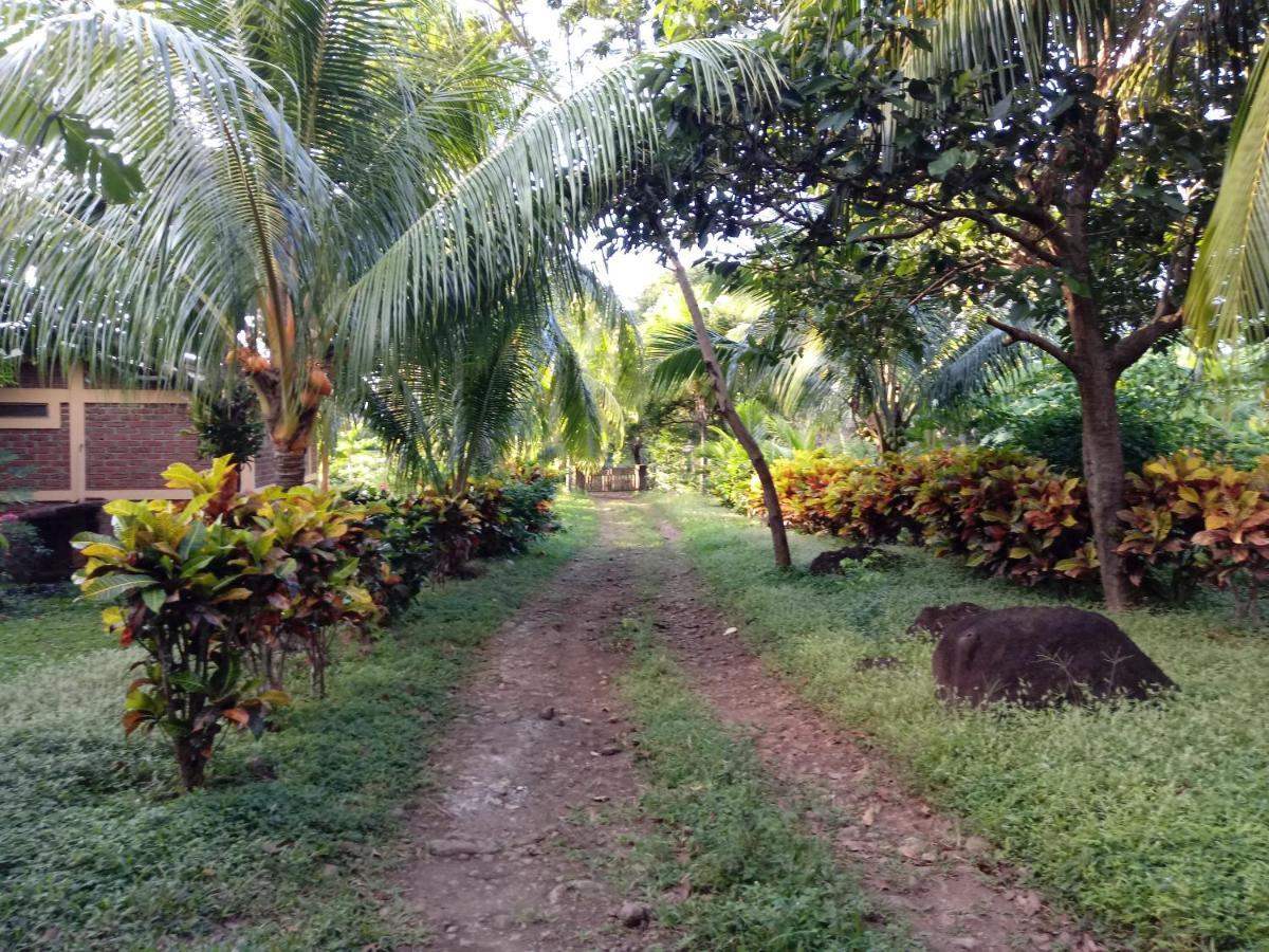 Finca Montana Sagrada Mérida Dış mekan fotoğraf