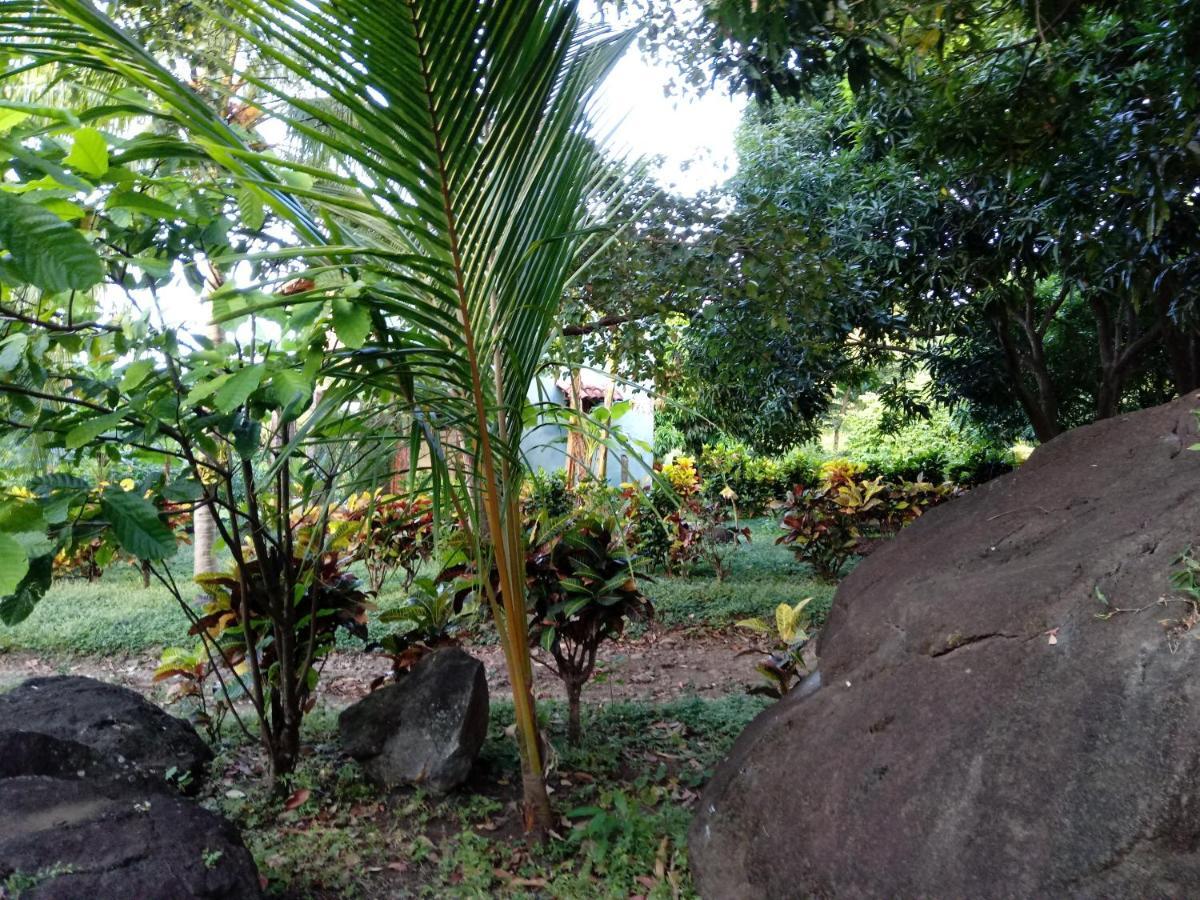 Finca Montana Sagrada Mérida Dış mekan fotoğraf